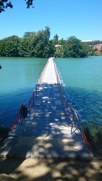 Puente sobre el agua tranquila